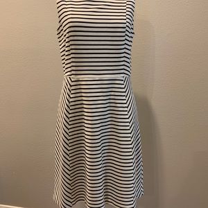 Loft Dress Size 8